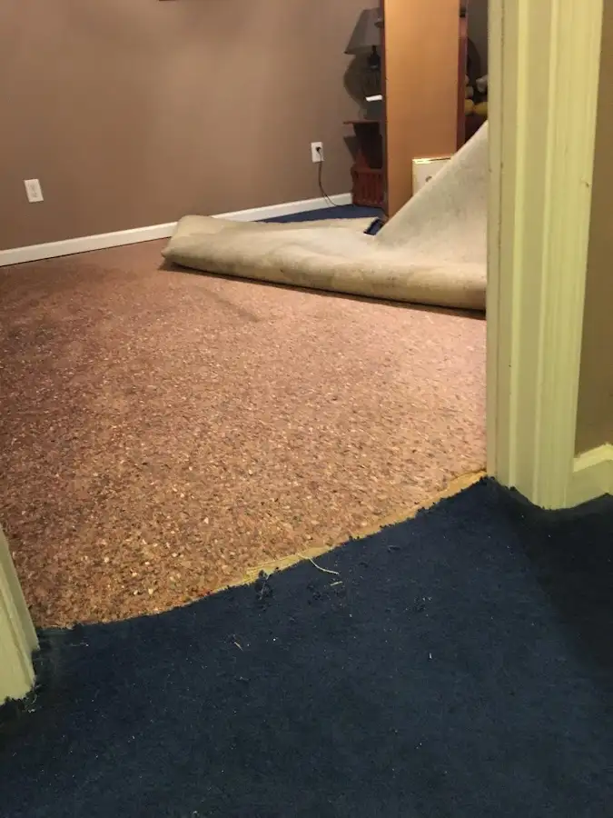 Carpet pad removal revealing water damage during Drying & Dehumidification in Pike Creek
